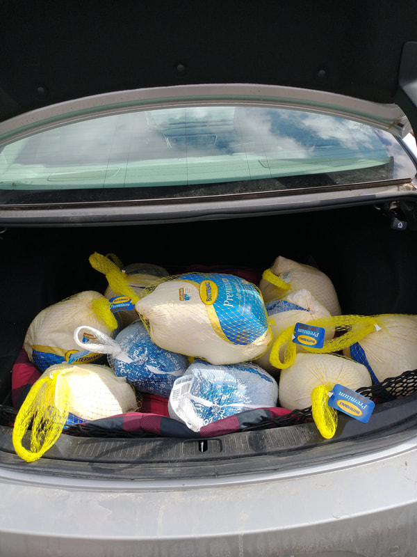 Twelve frozen turkeys in the trunk of a a car